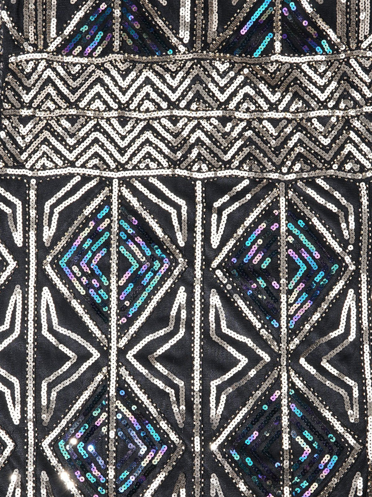 1920s Sequin Fringed flapper Dress